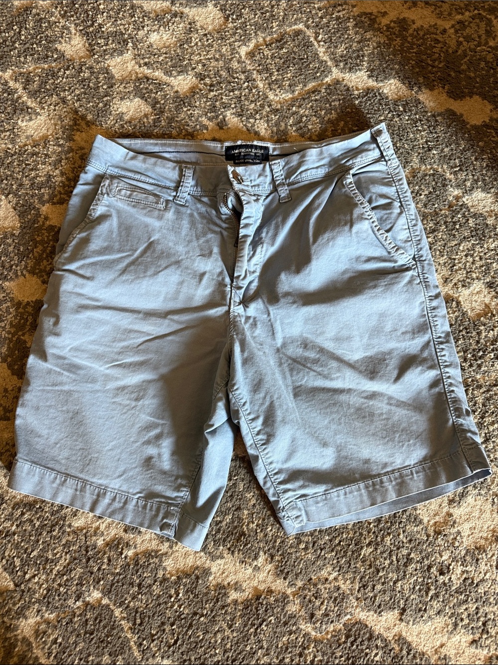American Eagle Outfitters Light Blue Flat Front Men's Shorts